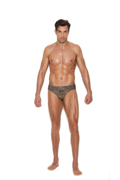 Men's Thong Back Brief - Small-medium - Animal-Lingerie & Sexy Apparel-Elegant Moments-Andy's Adult World