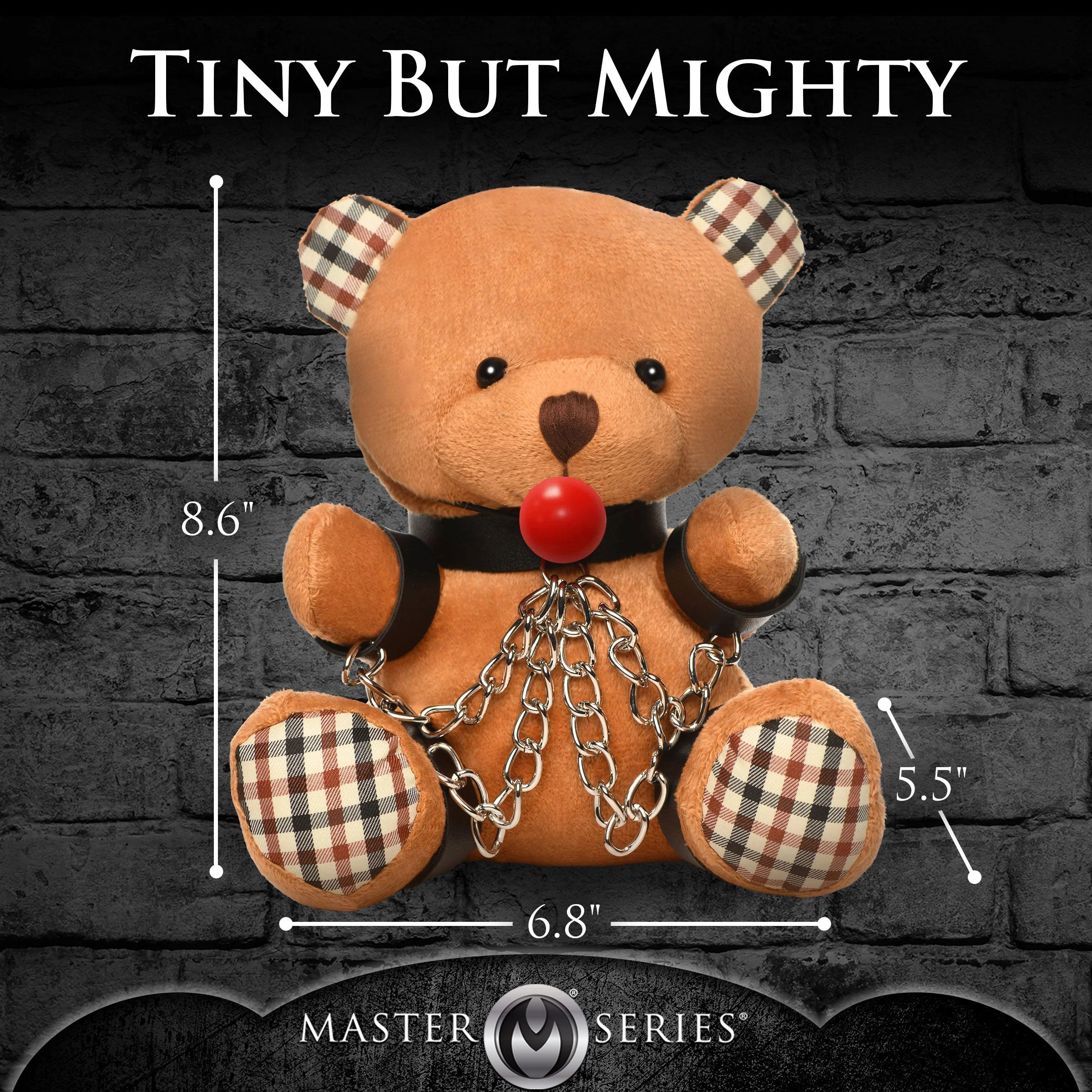 Gagged Teddy Bear Plush-Party Supplies-XR Brands Master Series-Andy's Adult World