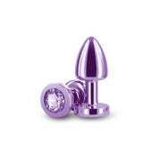 Rear Assets - Petite - Purple-Anal Toys & Stimulators-nsnovelties-Andy's Adult World