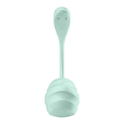 Smooth Petal Connect App - Mint-Vibrators-Satisfyer-Andy's Adult World