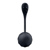 Ribbed Petal Connect App - Black-Vibrators-Satisfyer-Andy's Adult World