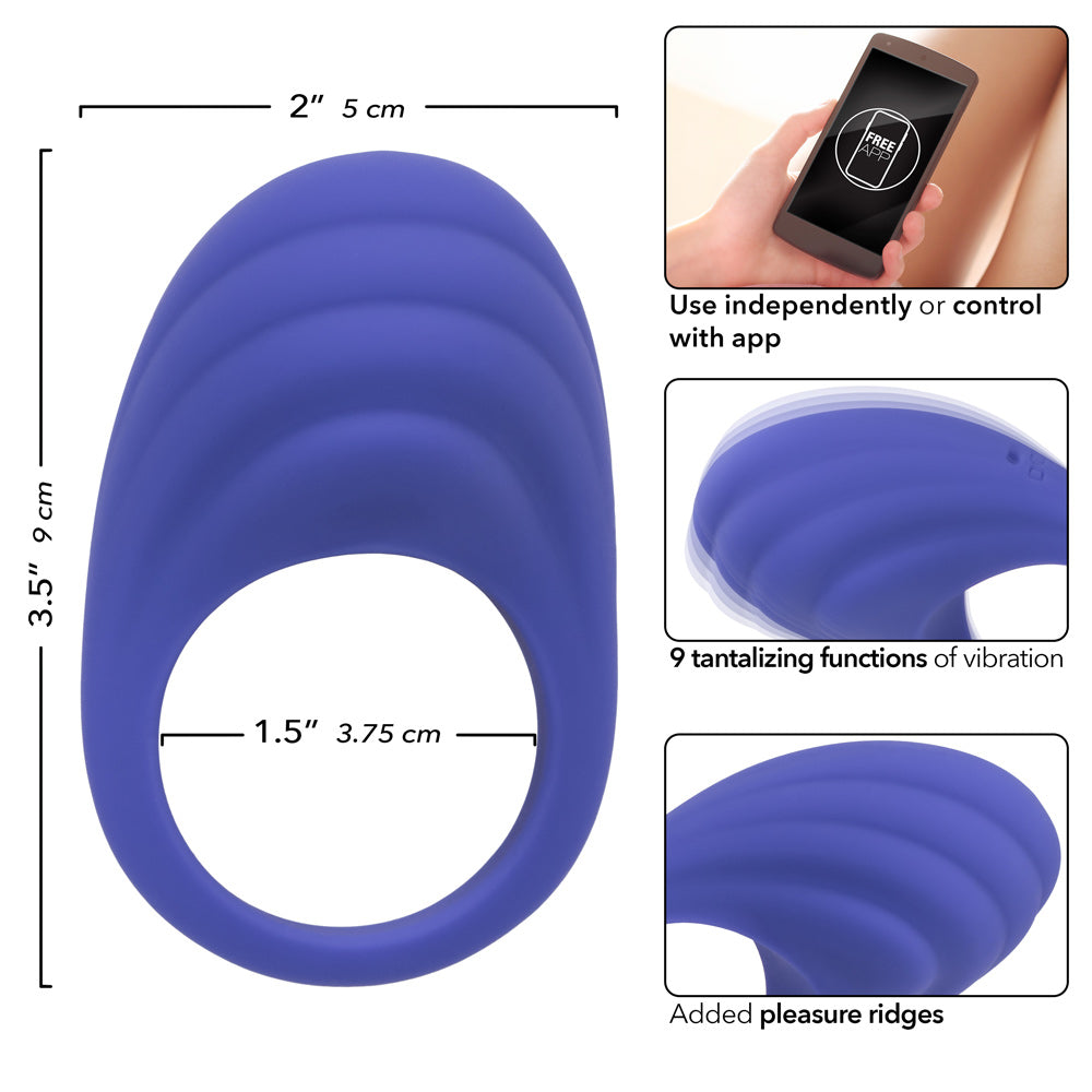 Calexotics Connect Couples Ring - Periwinkle-Cockrings-CalExotics-Andy's Adult World