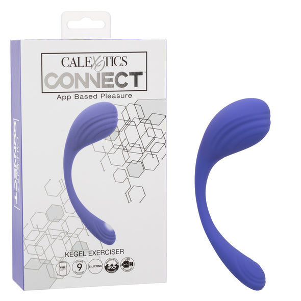 Calexotics Connect Kegel Exerciser - Periwinkle-Vibrators-CalExotics-Andy's Adult World