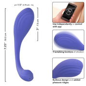 Calexotics Connect Kegel Exerciser - Periwinkle-Vibrators-CalExotics-Andy's Adult World