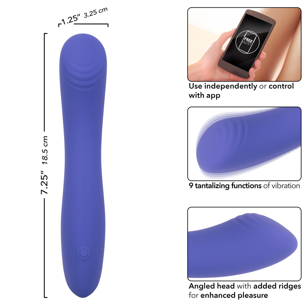 Calexotics Connect Contoured "G" - Periwinkle-Vibrators-CalExotics-Andy's Adult World