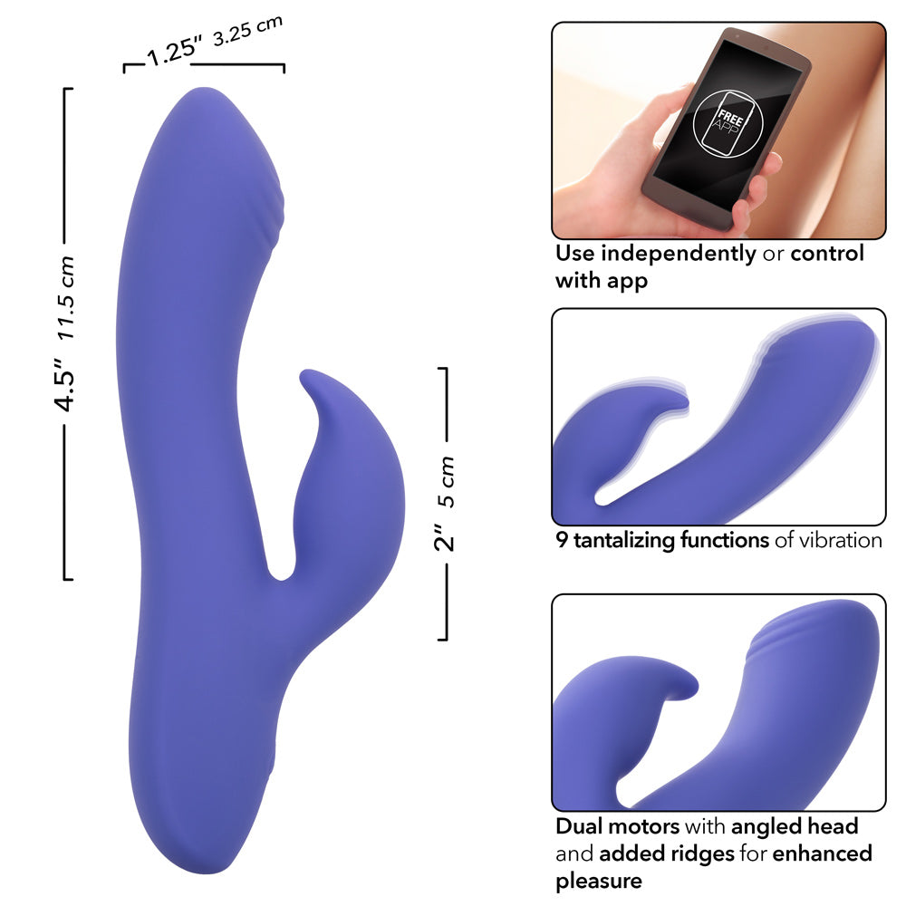 Calexotics Connect Dual Stimulator - Periwinkle-Vibrators-CalExotics-Andy's Adult World