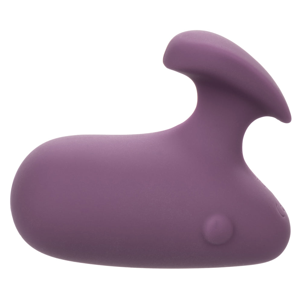 Mod Touch - Purple-Vibrators-CalExotics-Andy's Adult World