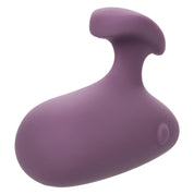 Mod Touch - Purple-Vibrators-CalExotics-Andy's Adult World