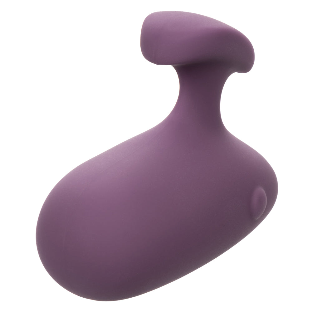 Mod Touch - Purple-Vibrators-CalExotics-Andy's Adult World