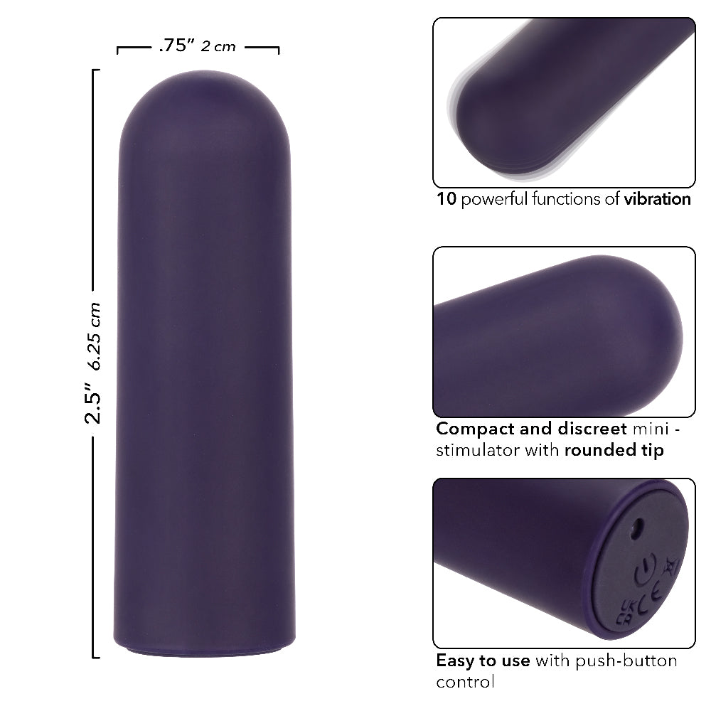 Turbo Buzz Rounded Mini Bullet - Purple-Vibrators-CalExotics-Andy's Adult World