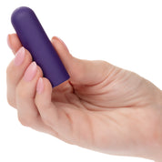 Turbo Buzz Rounded Mini Bullet - Purple-Vibrators-CalExotics-Andy's Adult World