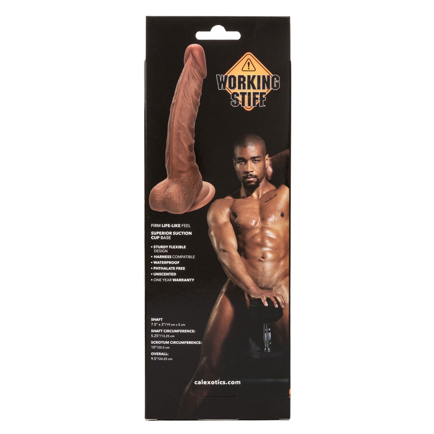 Working Stiff the Personal Trainer 7.5" - Brown-Dildos & Dongs-CalExotics-Andy's Adult World