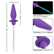 Southern Lights - Vibrating Light Up Anal Probe - Purple-Anal Toys & Stimulators-CalExotics-Andy's Adult World