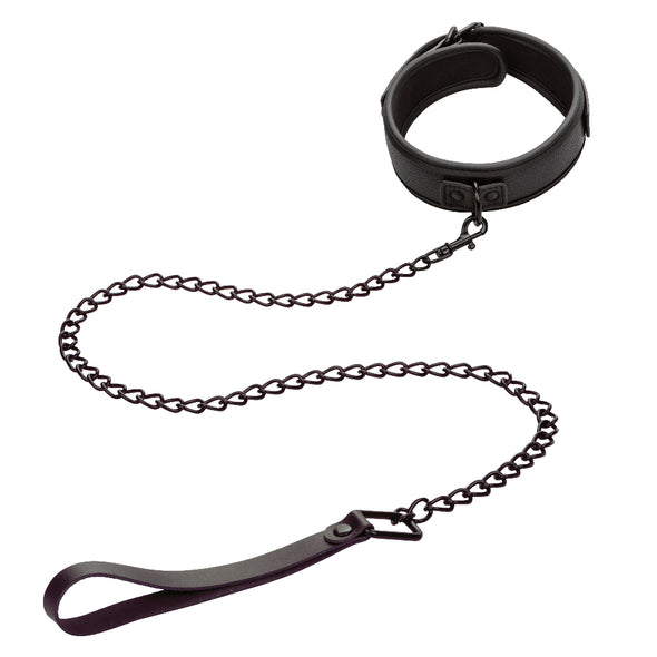 Nocturnal Collection Collar and Leash - Black-Bondage & Fetish Toys-CalExotics-Andy's Adult World