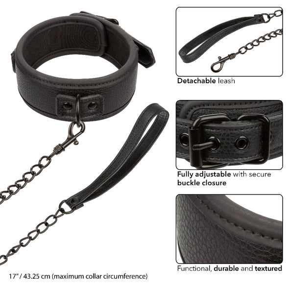 Nocturnal Collection Collar and Leash - Black-Bondage & Fetish Toys-CalExotics-Andy's Adult World