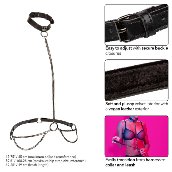 Euphoria Collection Chain Halter/collar and Leash - Black-Bondage & Fetish Toys-CalExotics-Andy's Adult World