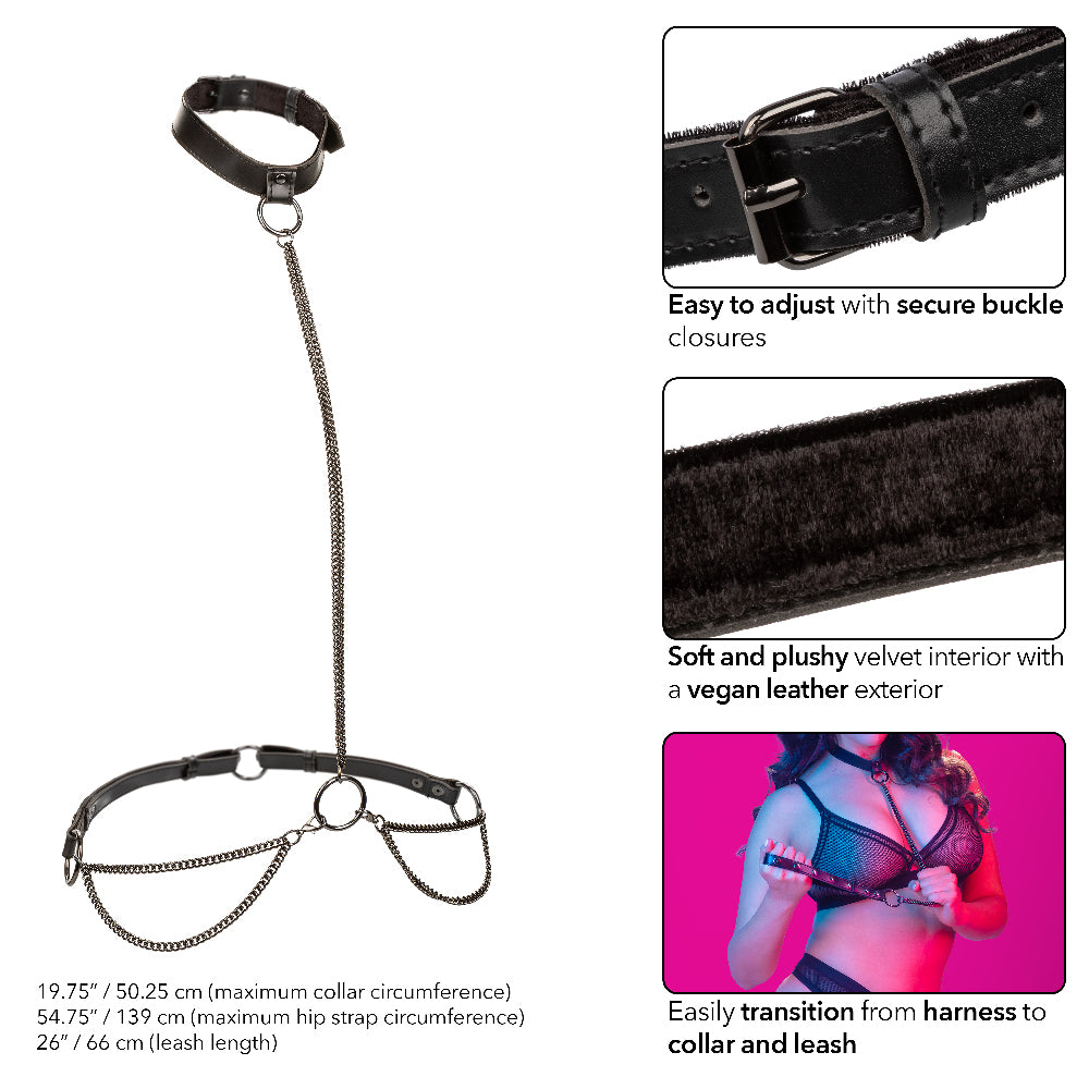 collar and Leash - Black-Bondage & Fetish Toys-CalExotics-Andy's Adult World