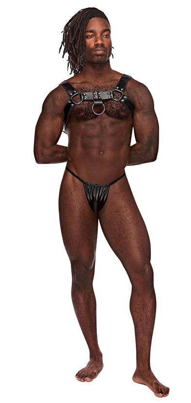 Aries Leather Harness - One Size - Black-Lingerie & Sexy Apparel-Male Power-Andy's Adult World