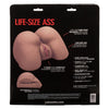 Stroke It Life-Size Ass - Brown-Masturbation Aids for Males-CalExotics-Andy's Adult World