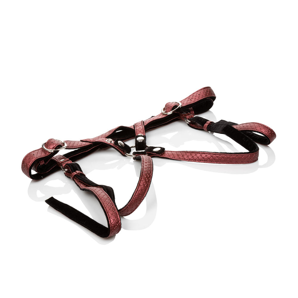 HOSE1563103.jpg