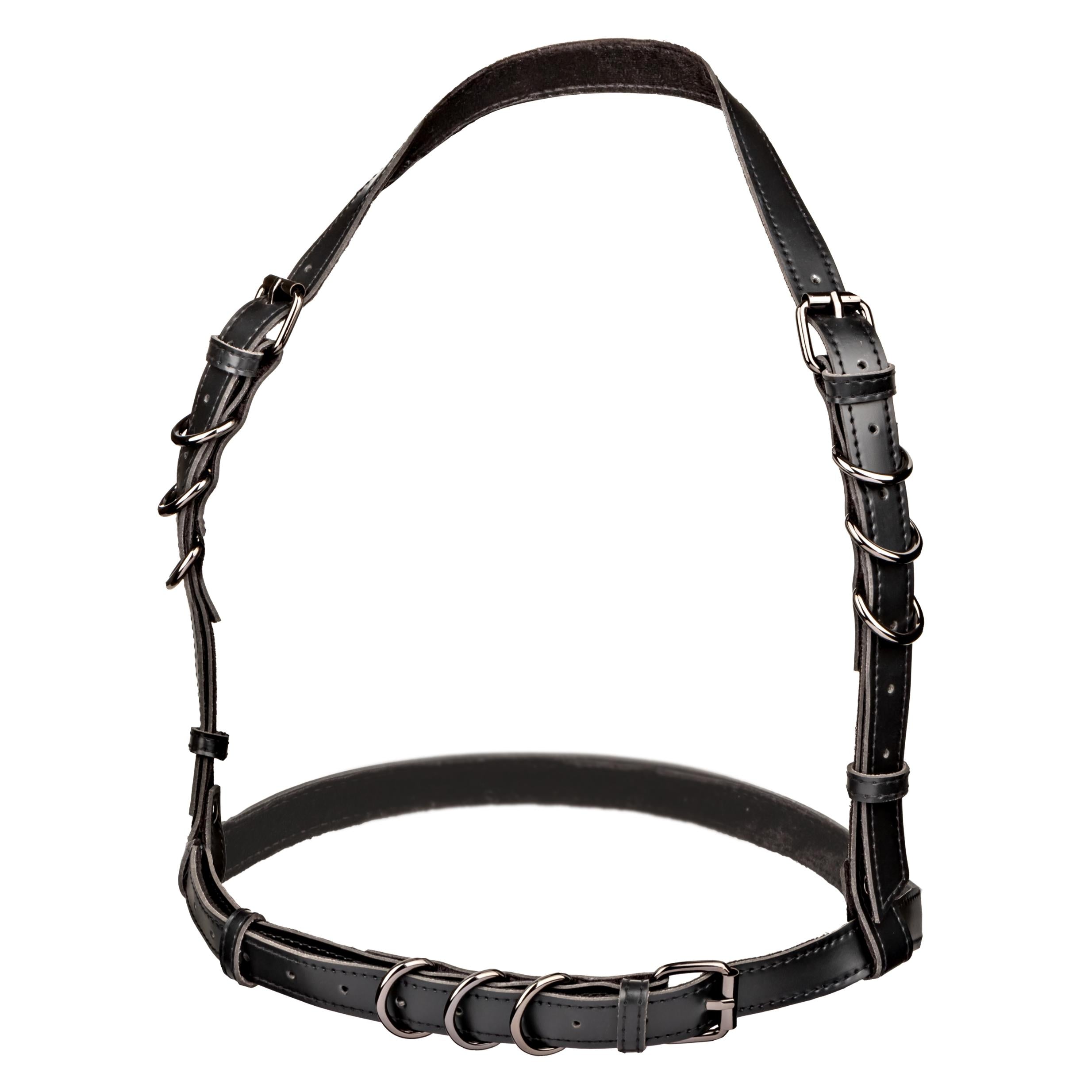 Euphoria Collection Plus Size Halter Buckle Harness - Black-Harnesses & Strap-Ons-CalExotics-Andy's Adult World