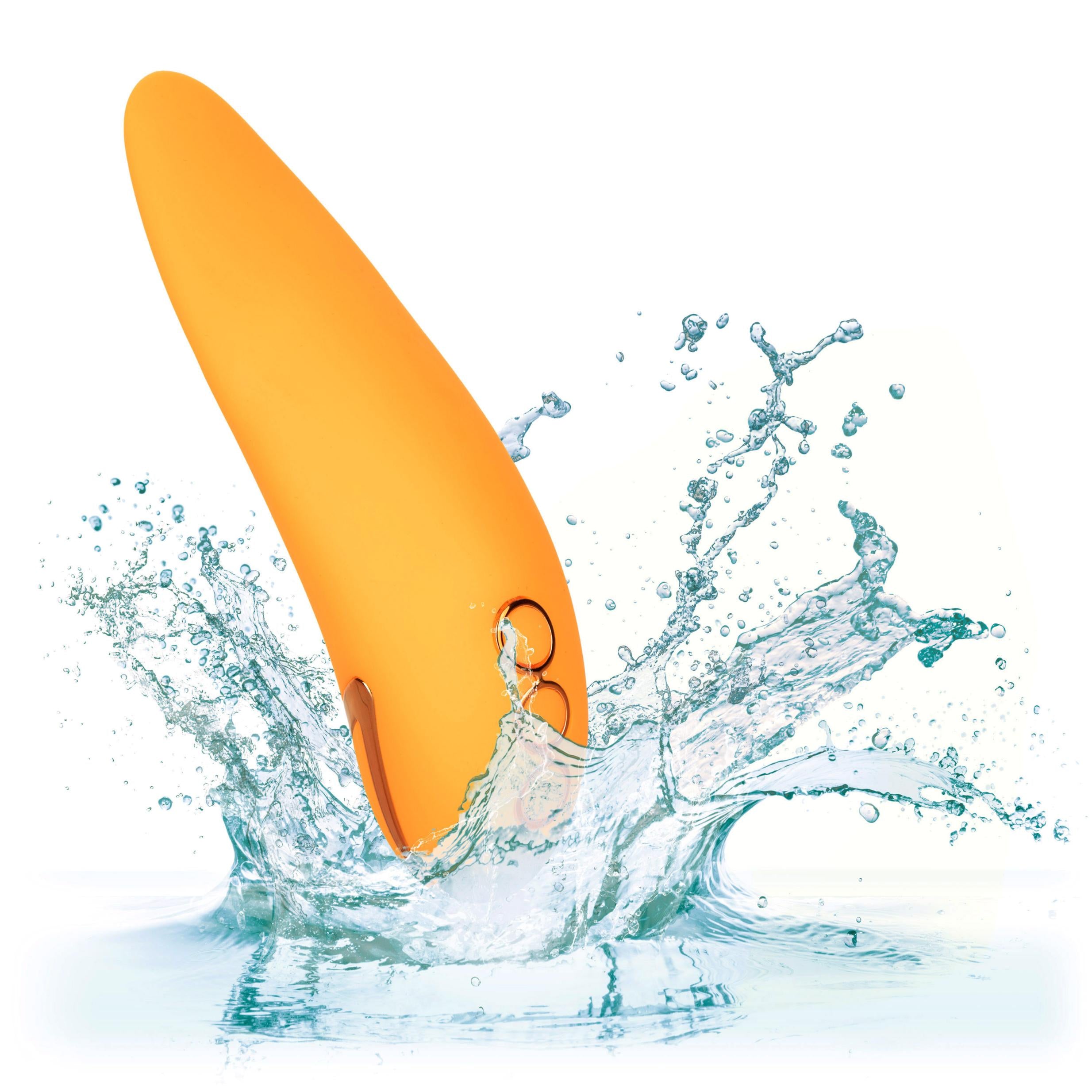 HOSE4349103_11.jpg