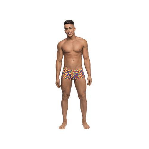Pride Fest - Mini Short - Medium - Print